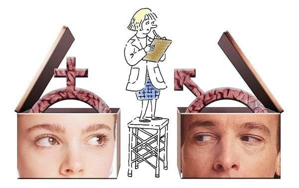 Human sex genetic architecture differences