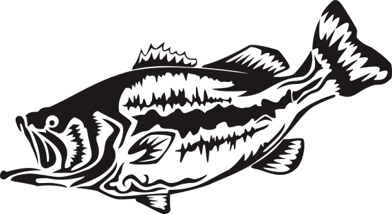 美しい花の画像 驚くばかりバス釣り イラスト