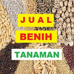 contoh jurnal fisiologi tumbuhan - contoh niat