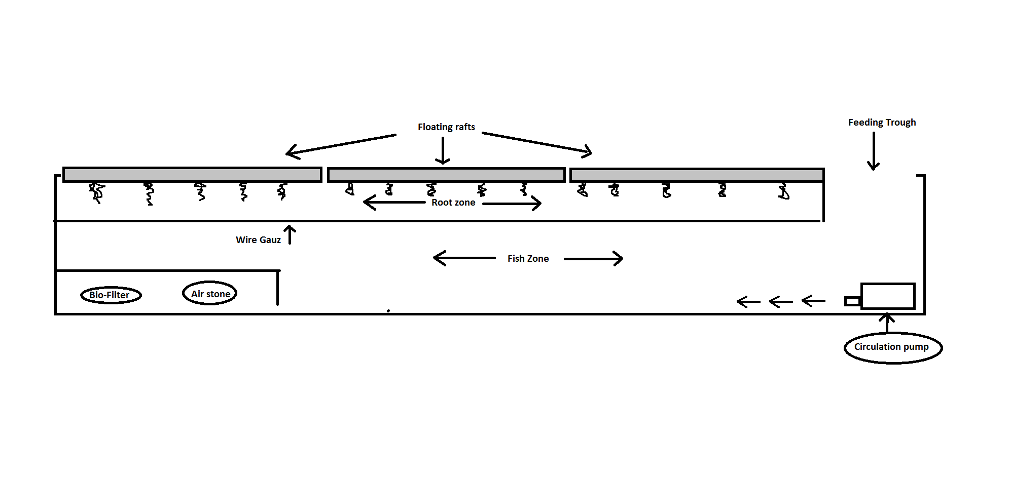 Aquaponics Dwc Design - aquaponic