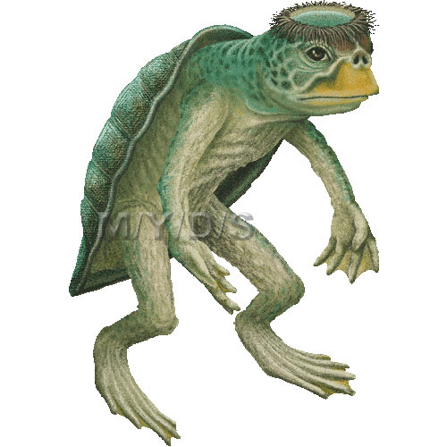 すべての動物の画像 75 カッパ イラスト 無料