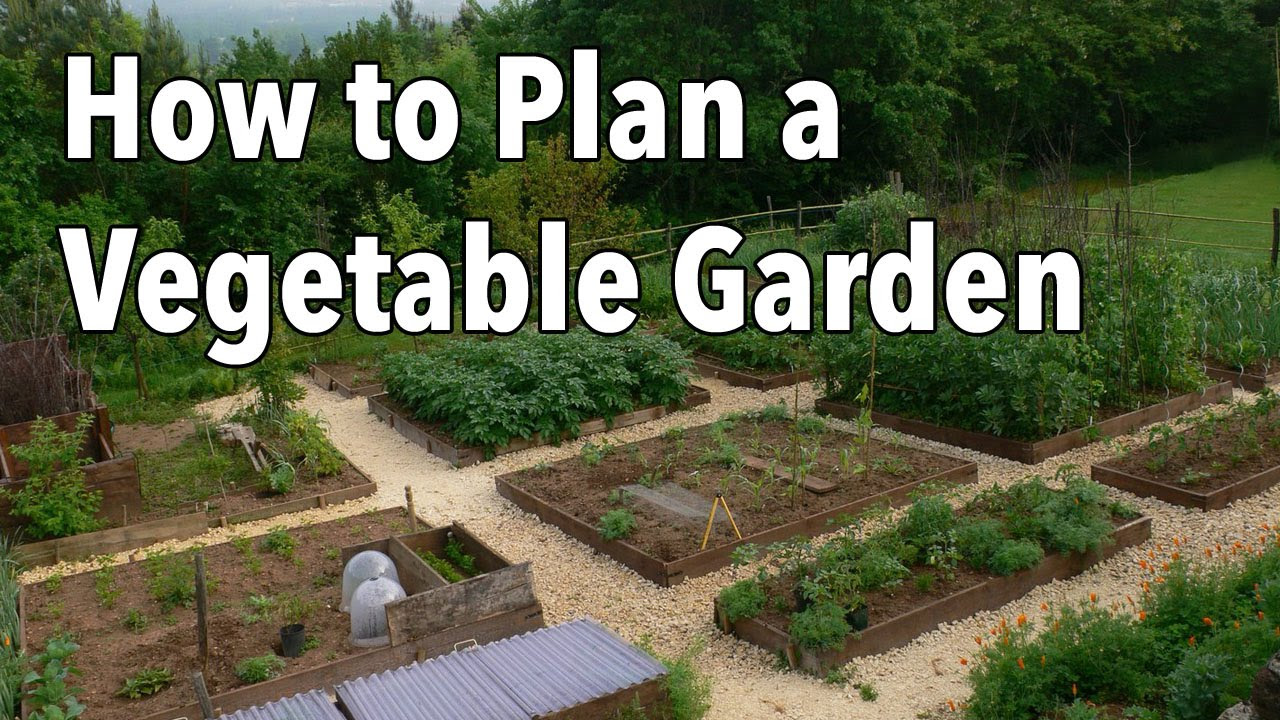 backyard vegetable garden layout ideas - paranoormallifee