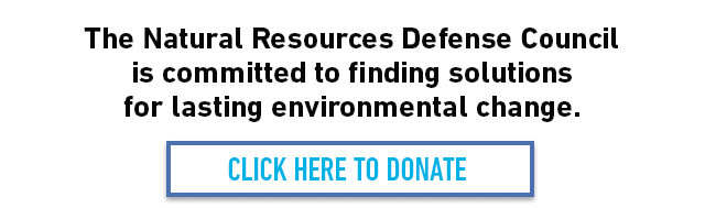 The Natural Resources Defense Council is committed to finding solutions 
for lasting environmental change. CLICK HERE TO DONATE 