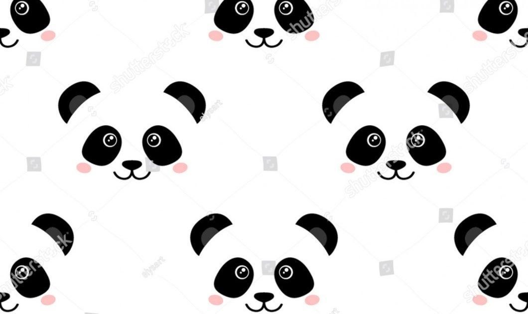  Gambar  Kartun  Panda Lucu  Untuk  Wallpaper  Hp  DOKUMEN PAUD 