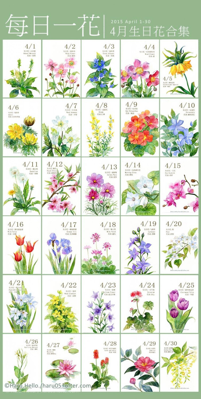 最も人気のある 4 月25 日誕生花