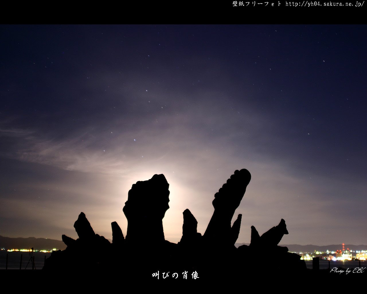 無料ダウンロード壁紙 長渕 剛 最高の花の画像