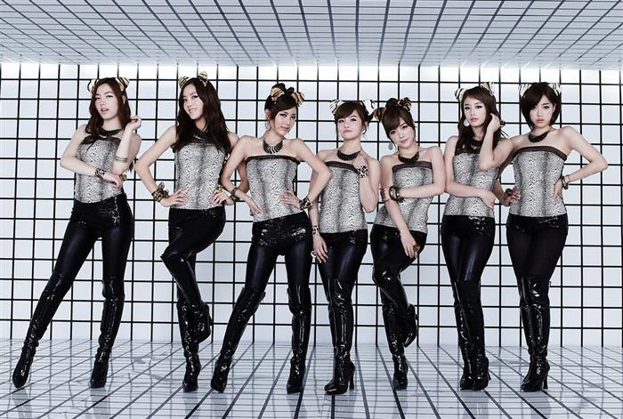 T Ara 猫 最高の画像ページ