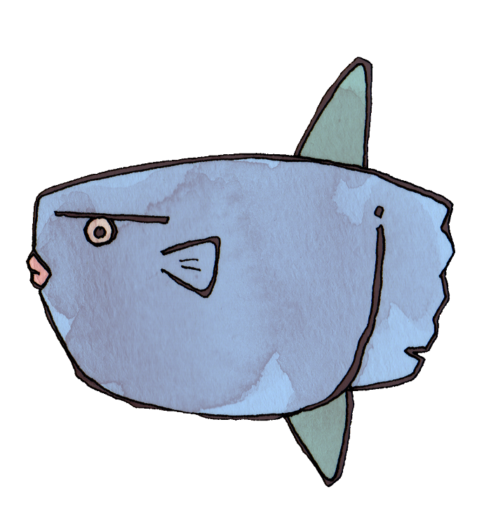 動物画像無料 無料ダウンロードマンボウ イラスト かわいい