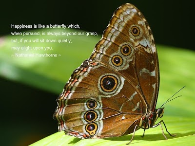 Inspirational Quotes Wallpaper: Butterfly Wallpaper ...