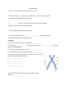 32 Cell Division Mitosis And Cytokinesis Worksheet Answers ...