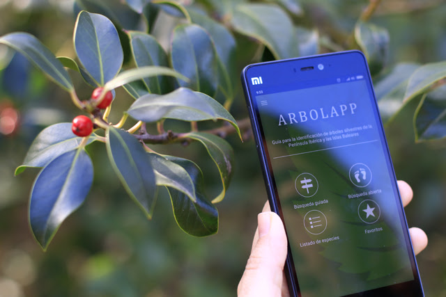 Arbolapp