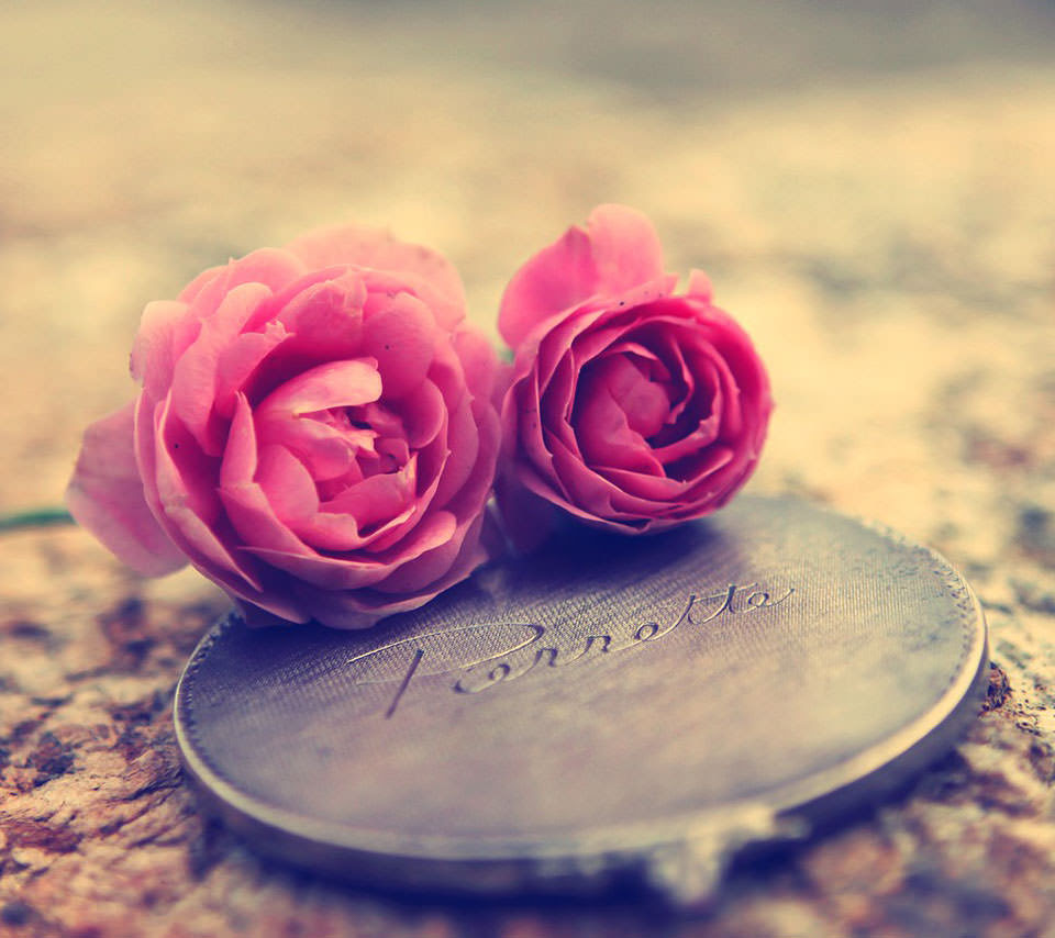 エレガントピンク 薔薇 壁紙 スマホ 最高の花の画像