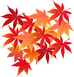 Japan Image 紅葉 イラスト