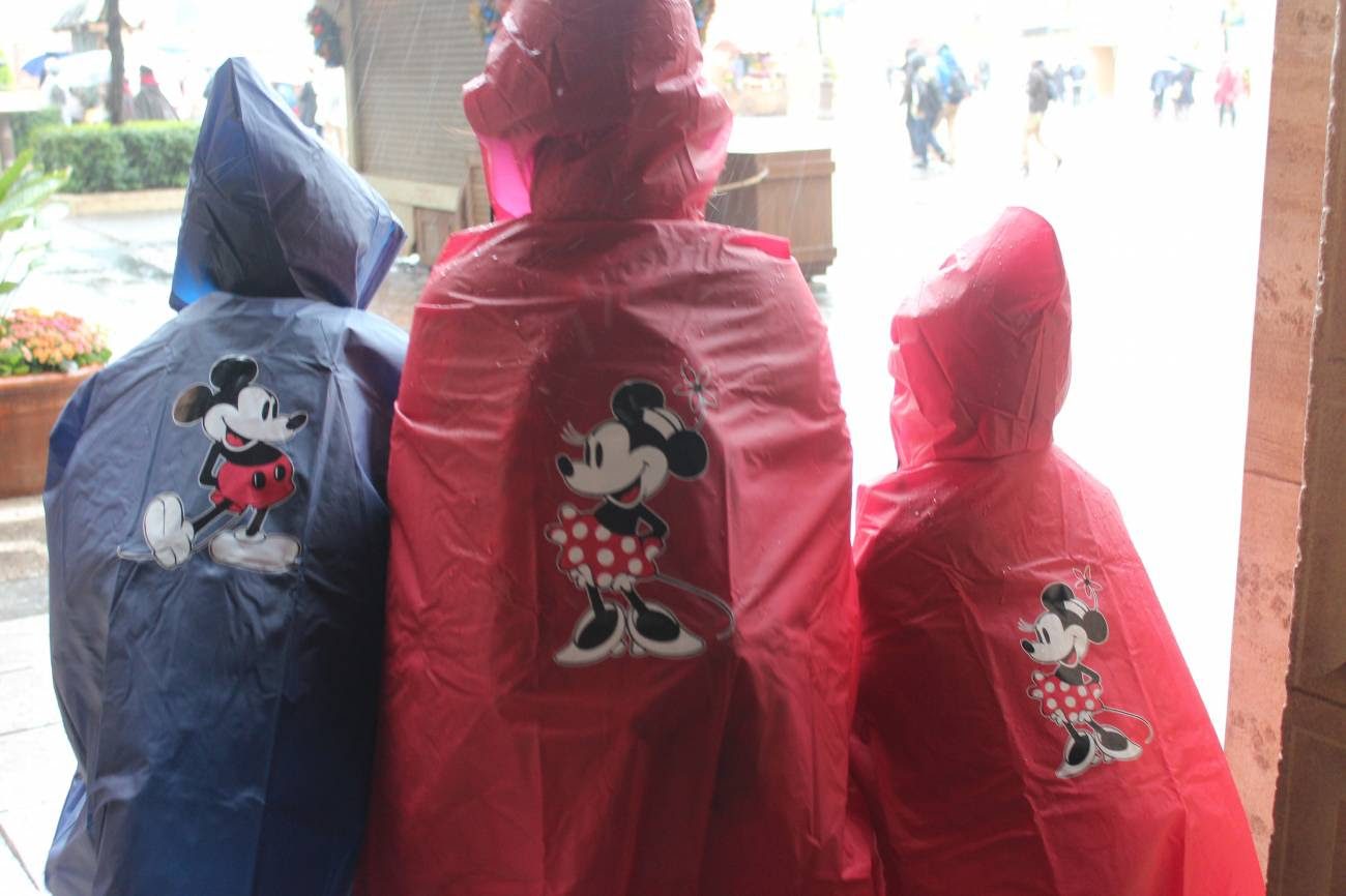 ディズニー画像ランド 75 ディズニー 雨 グッズ