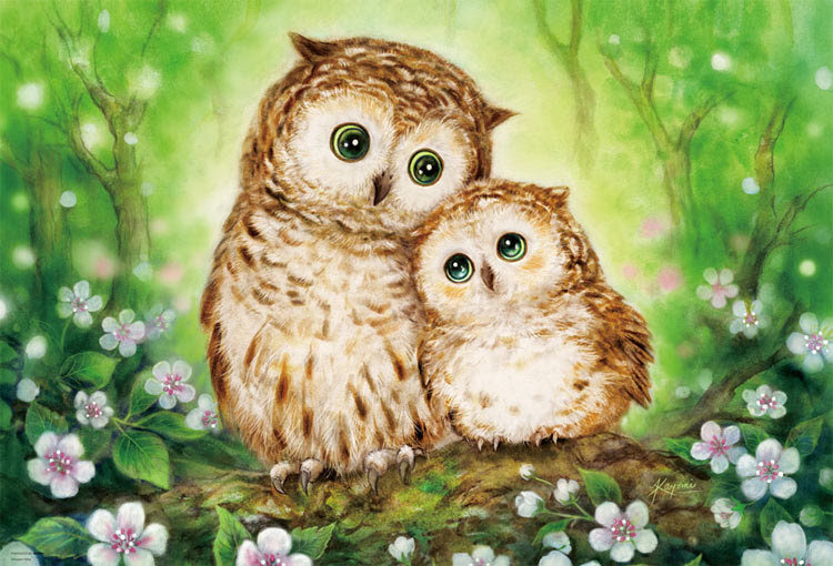 動物画像無料 上かわいい フクロウ ふくろう イラスト