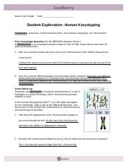 Gladiatordownloads Student Exploration Human Karyotyping Answer Key 14 2 Lab Docx Name Date Student Exploration Human Karyotyping Vocabulary Autosome Chromosomal Disorder Chromosome Karyotype Sex Chromosome Prior Course Hero Workbook Answer