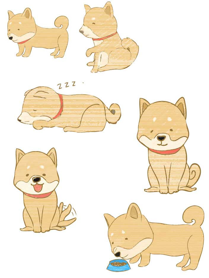 完了しました おしゃれ かわいい 簡単 柴犬 イラスト