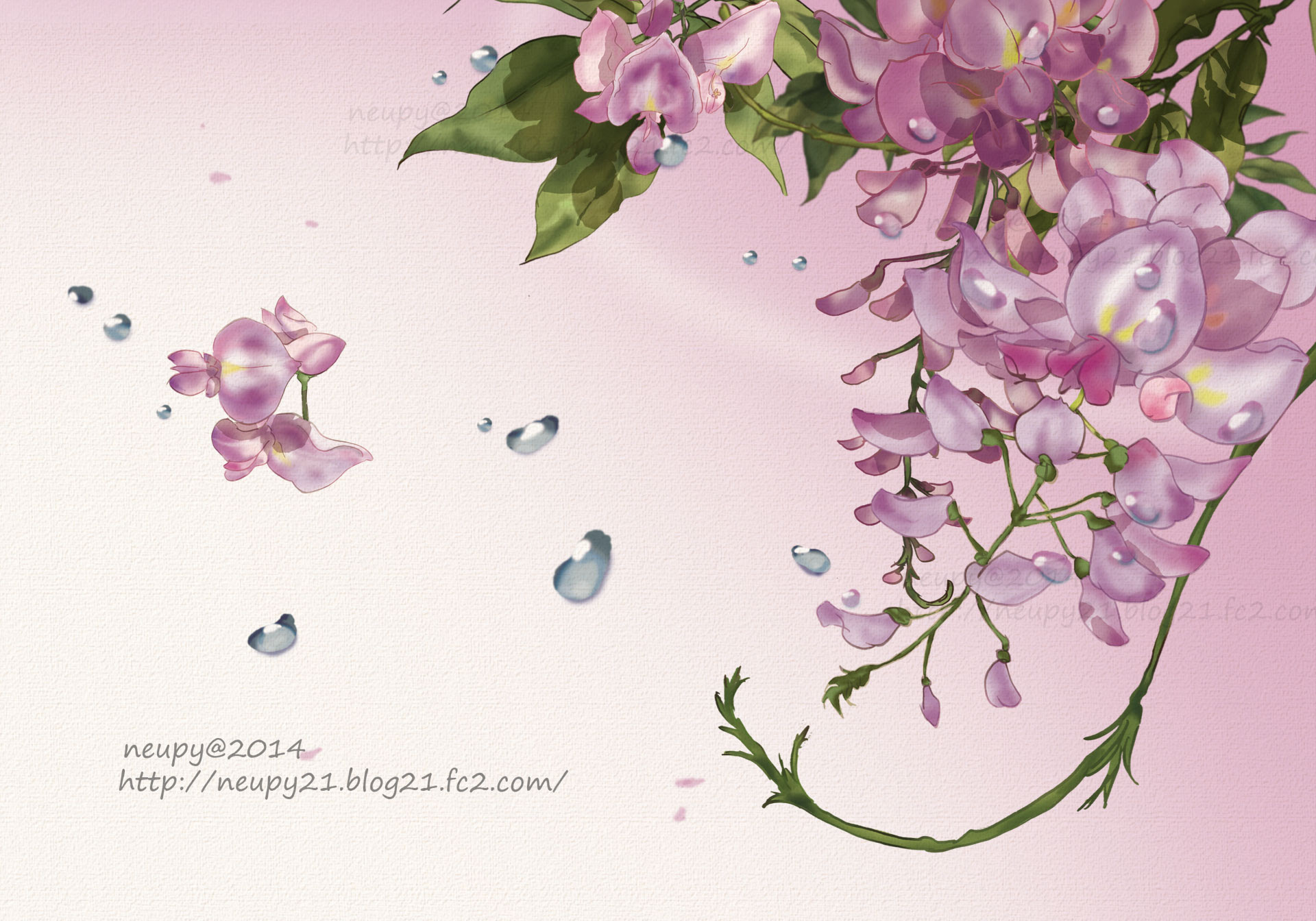 すべての美しい花の画像 ラブリー壁紙 イラスト 藤 の 花