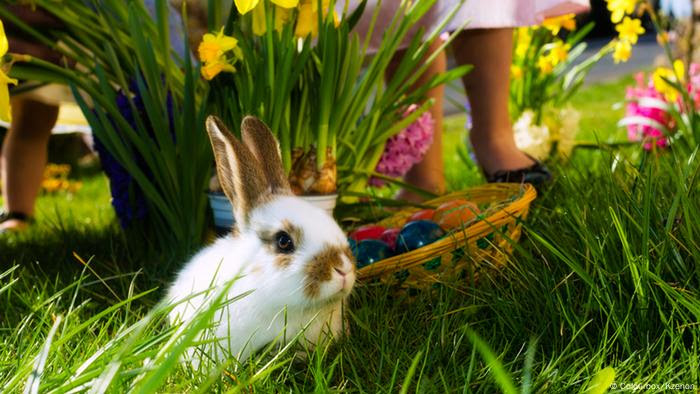 Kleiner Hase hockt vor Ostereiern