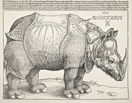 El rinoceronte de Albrecht Dürer (1515).