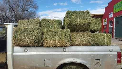 20170206 Amy Penrod 12 bales Alf