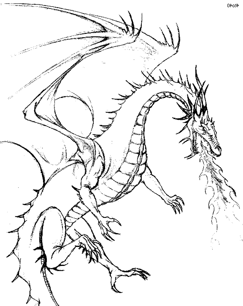 Download Komodo Dragon Colouring Pages