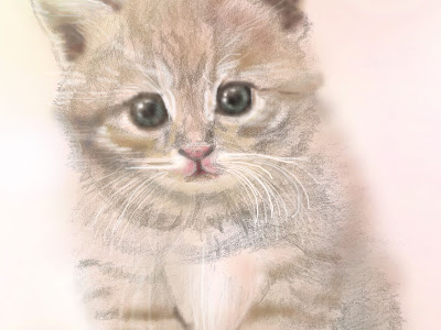 [10000印刷√] 可愛い子猫 子猫 イラスト 162239