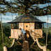 Foster Huntington outside the Octagon, one of two treehouses he built with his buddies on property his family owns near the Columbia River Gorge in Washington state.