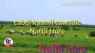Kaamil cabdi ismaaci, burco, somalia. Download Cabdi Kaamil Cawaale Iyo Hees Xul Ah In Mp4 And 3gp Codedwap