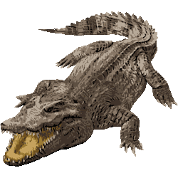 動物の島 最高のワニ イラスト リアル