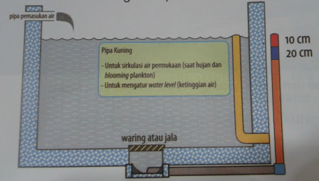 Untuk kali ini saya akan mencontohkan perhitungan besi pada kolam renang ukuran 3×7 m dengan kedalaman 1,5 m. Konstruksi Kolam Rangkoto Catfish Farming Processing