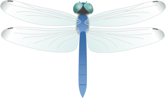 75 イラスト トンボ 最高の動物画像
