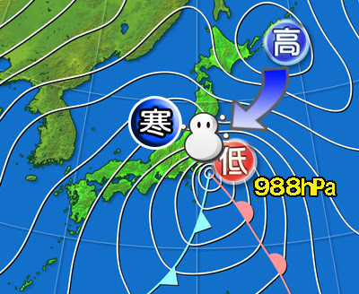 上天気 14 最高の花の画像