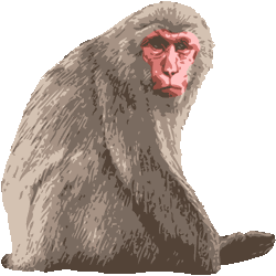心に強く訴えるさる 猿 イラスト リアル ただのディズニー画像