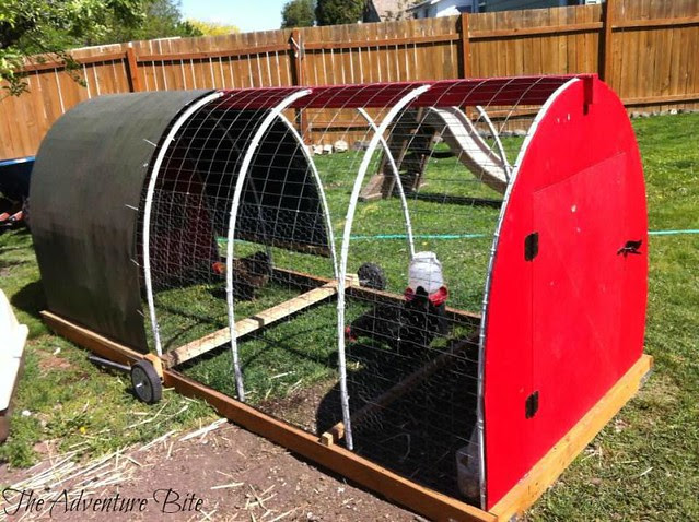 How To Build A Chicken Tractor Fresh Eggs Daily