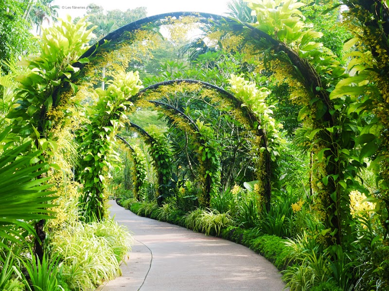 Inspirasi Spesial Jardin Botanique Singapore, Taman Rumah