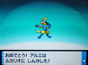 おかしいです ポケモン パール リオル 検索画像の壁紙