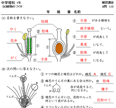 ベスト中 3 漢字 一覧 最高のぬりえ
