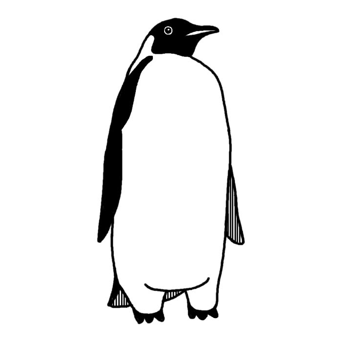ベストペンギン イラスト 白黒 最高の動物画像