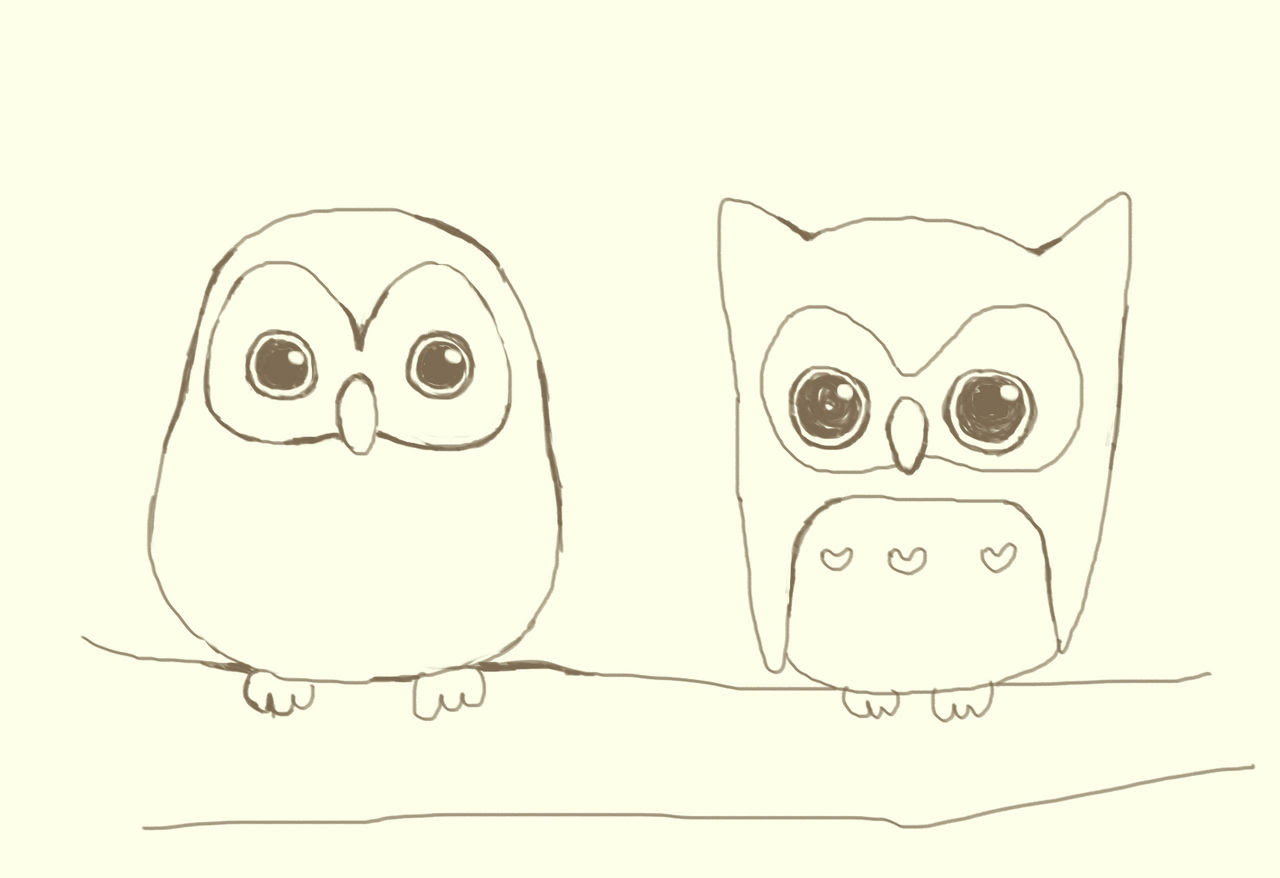 すべての動物の画像 最高可愛い フクロウ イラスト 簡単