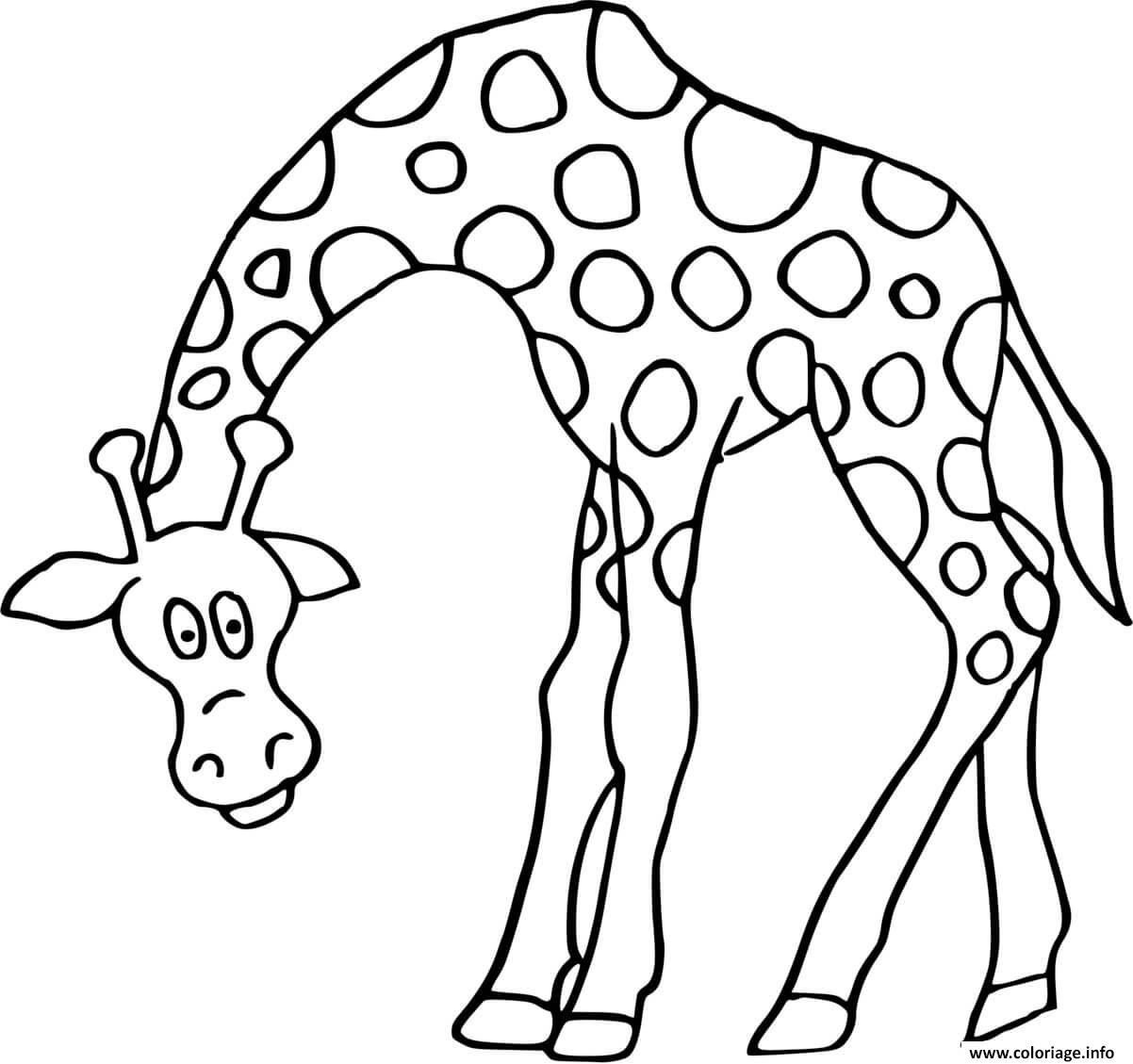 Apprenez comment dessiner une girafe facilement grâce à ce tutoriel complet étape par étape qui décompose chaque partie du corps de l'animal pour un résultat fidèle et réaliste. Coloriage Girafe Qui Baisse Tete Jecolorie Com