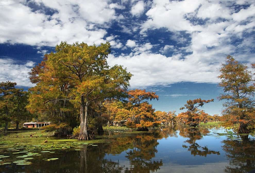 Autumn at Uncertain, Texas, fall foliage at Caddo Lake