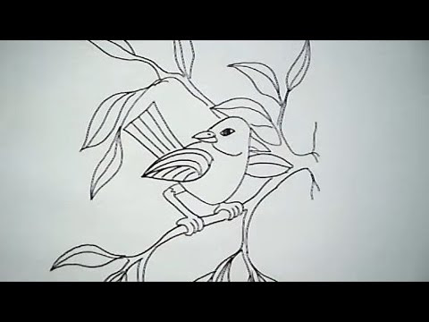  Cara  Menggambar  Burung  Elang Terbang  Semburat Warna