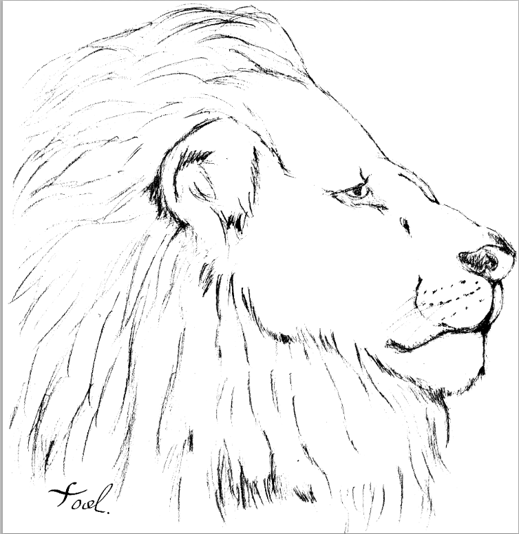 Testter リアル ライオン イラスト かっこいい
