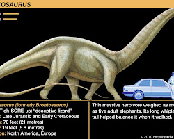 Sauropods dinosaur