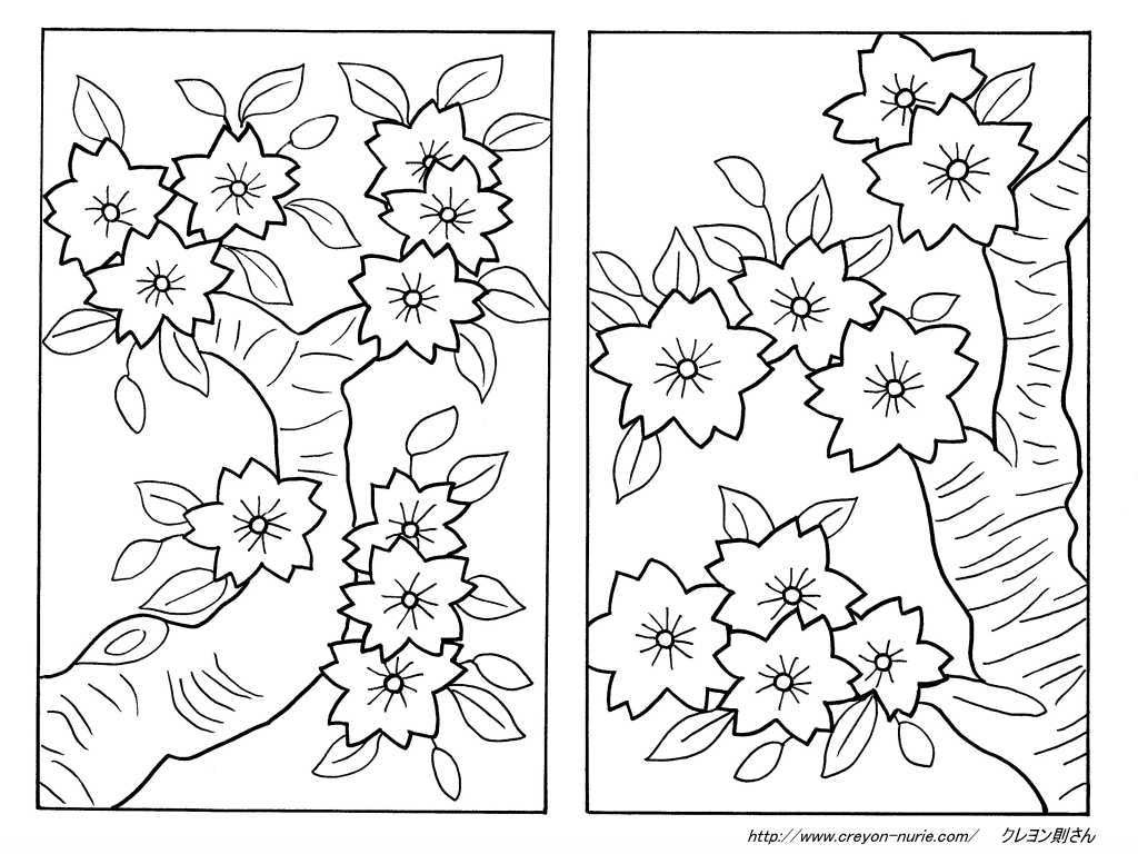 Ejadawq 塗り絵 桜