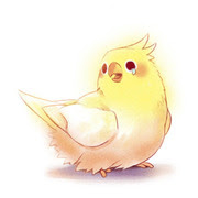 無料ダウンロード可愛い オカメインコ イラスト 最高の動物画像