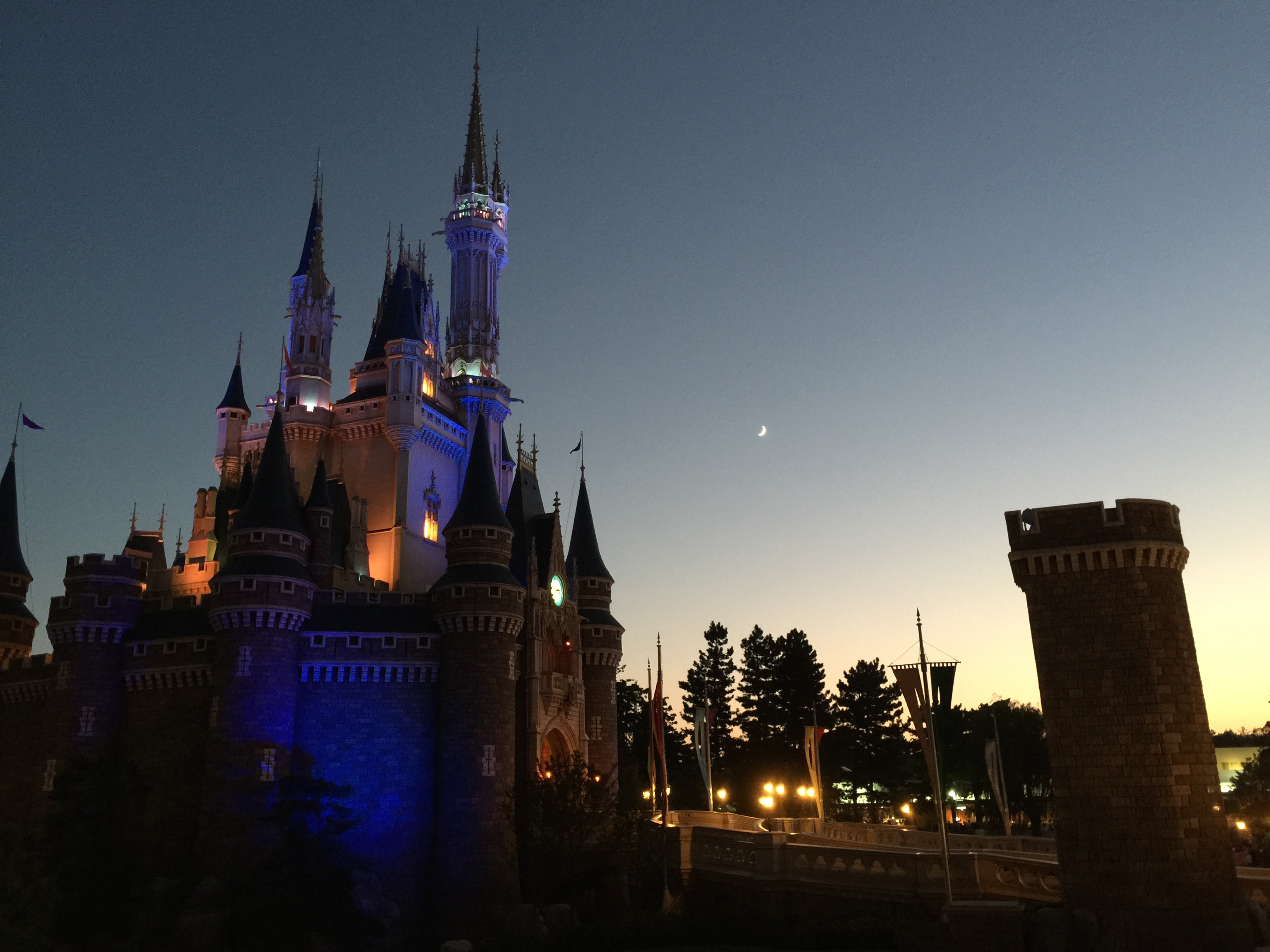 ぜいたくディズニー 夜景 壁紙 Iphone 美しい花の画像