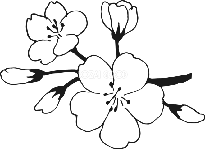 ユニーク白黒 桜 イラスト かっこいい 動物ゾーン