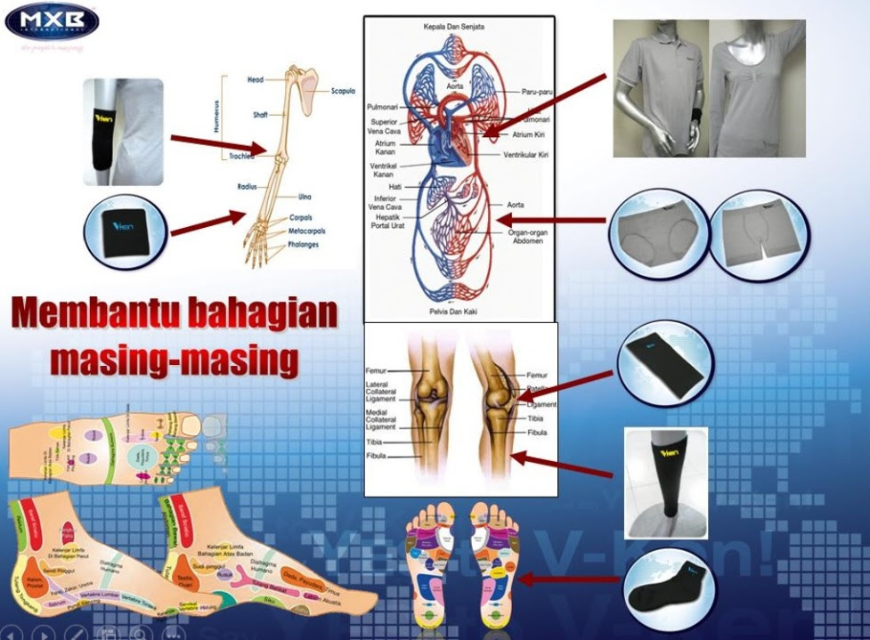 Kaki Ayam Ubat Sakit Lutut - Berubat r